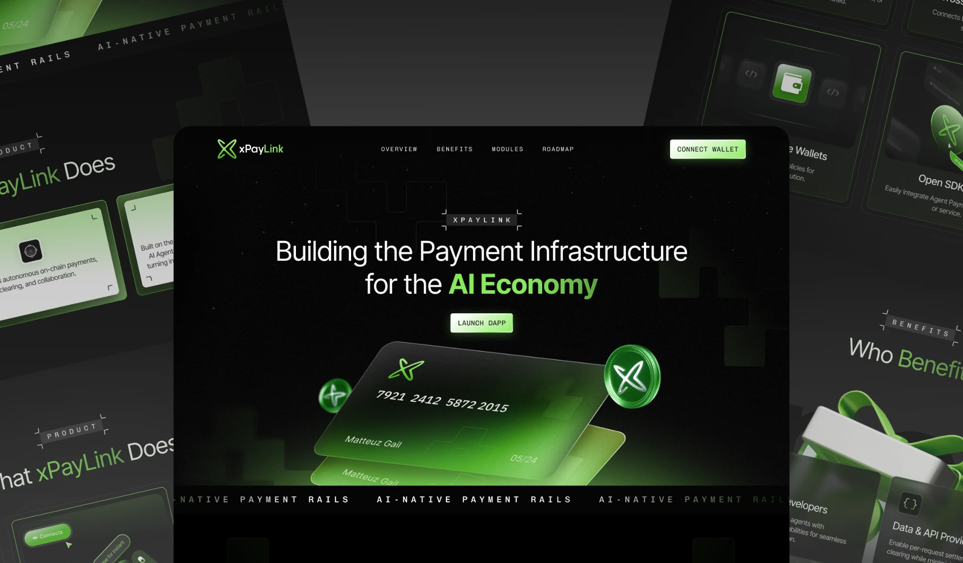 xPayLink payment infrastructure website